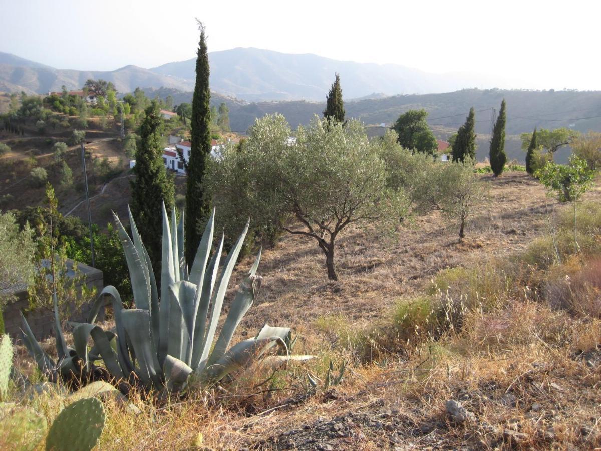 Casa Siete Arcos Villa Sedella Bagian luar foto